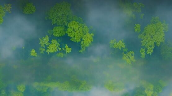 Project Bonsai gameplay screenshot