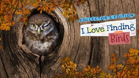 I Love Finding Birds: Collector's Edition official artwork 1