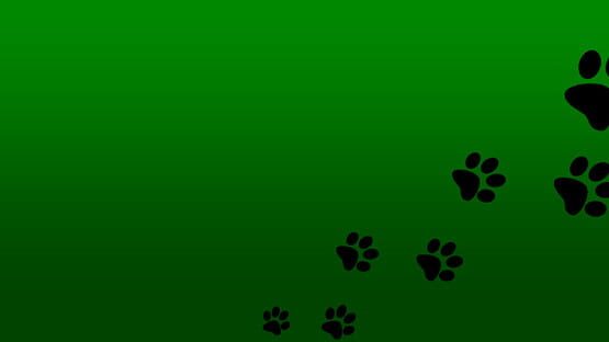Roxy Raccoon's Mancala Madness backdrop
