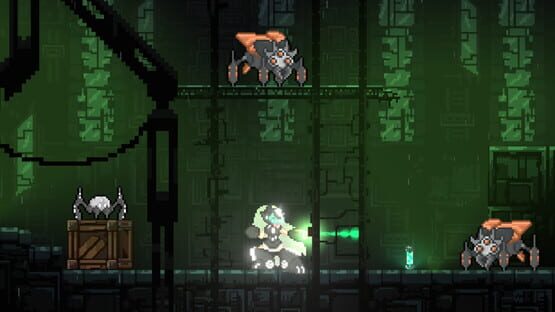 Neko's Rage backdrop