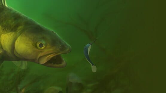 Professional Fishing 2 official artwork 1