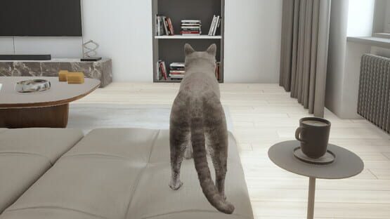 Cats Game — 1