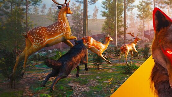 Wolf Simulator official artwork 1