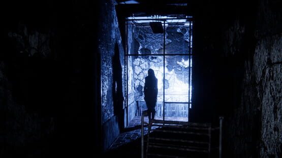 Sorrow Asylum — 1