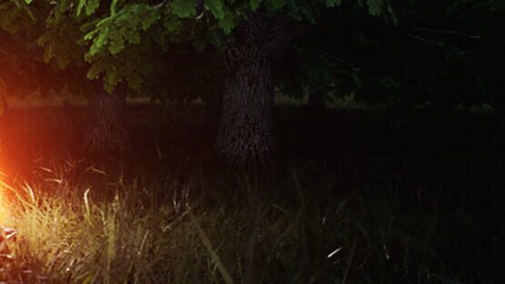 Humanoid official artwork 1