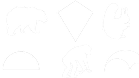 Shape Quiz official artwork 1