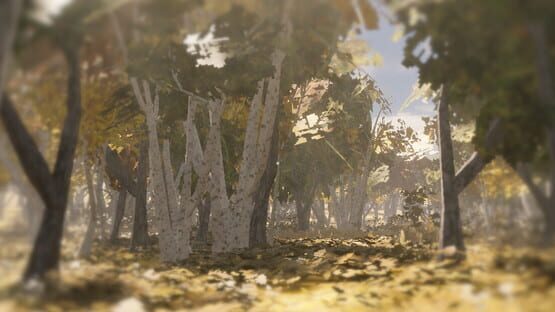 Open Hunting Xl backdrop