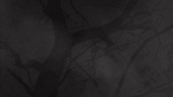 Hell Hunter: Anti-Nomen backdrop