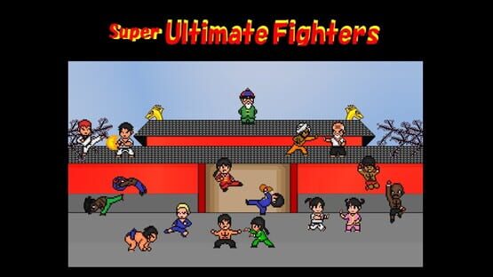 Super Ultimate Fighters official artwork 2