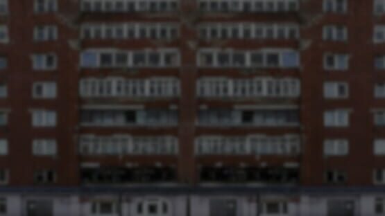 Pigeon in Hurry official artwork 1