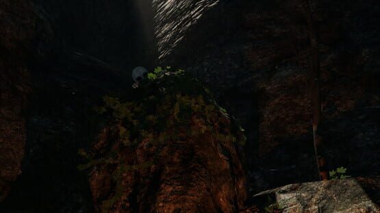 Unknown Presence backdrop