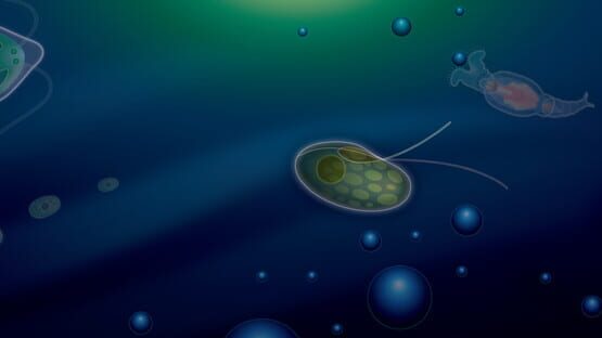 Symbio gameplay screenshot