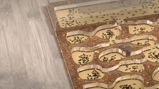Ant Farm Simulator official artwork 1