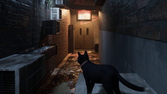 Project Paws official artwork 1