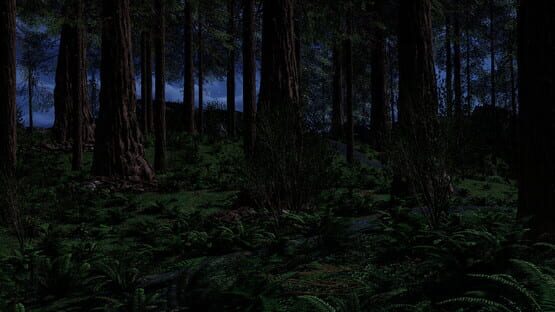 Dark Forest backdrop
