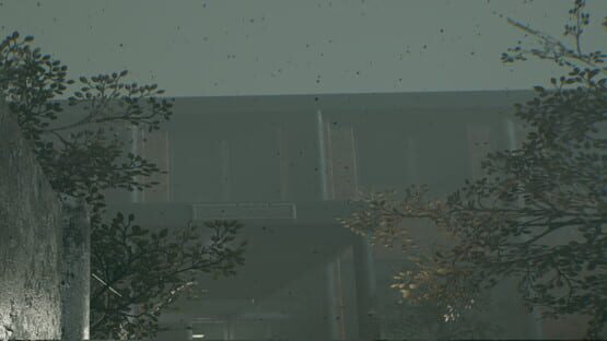 Foreign Fortress backdrop