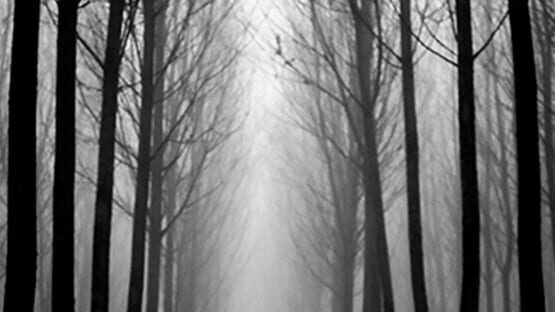 Don't Go in the woods gameplay screenshot