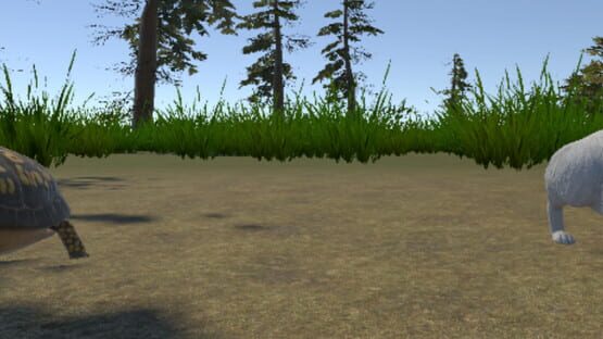 Rabbit and Turtle gameplay screenshot
