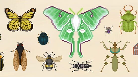 Bug & Seek: Isopods official artwork 1