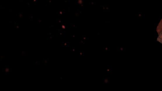 Psychopomp official artwork 1