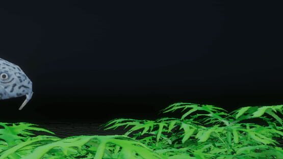 CEO Fish official artwork 1