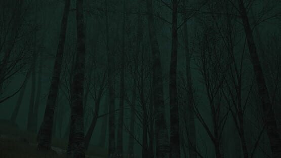 Descending The Woods official artwork 1