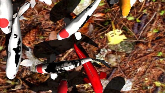 Koi Garden gameplay screenshot