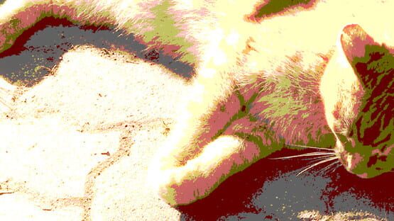 Push The Cat with WASD gameplay screenshot