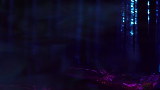 Mushroots official artwork 1