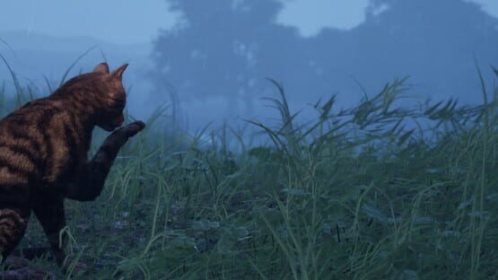 CozyCat Simulator official artwork 1
