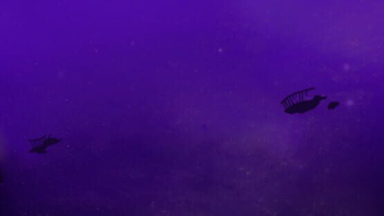 Kinny and the Lost Starlight gameplay screenshot