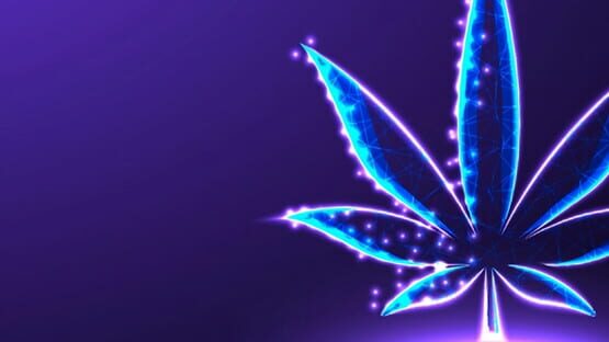 Diary of a Stoner gameplay screenshot