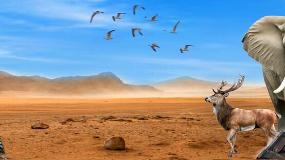 Forest Hunt: VR official artwork 1