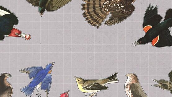 Brids Huddled Together gameplay screenshot