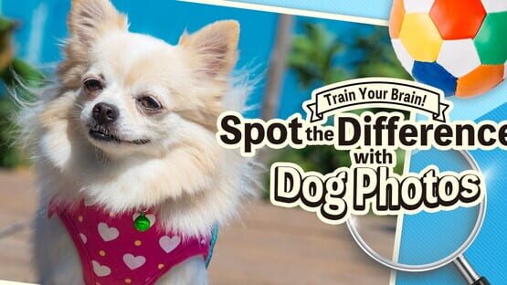 Train Your Brain! Spot the Difference with Dog Photos gameplay screenshot