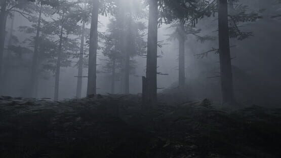 Enigma of Forest official artwork 1