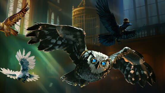 Wizard of Wings official artwork 1