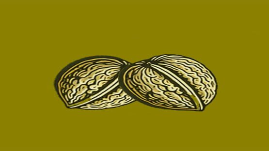 Nuts official artwork 1