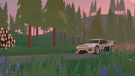 N3Rally official artwork 1