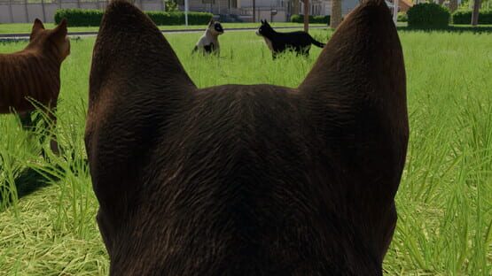 Reign of Cats gameplay screenshot
