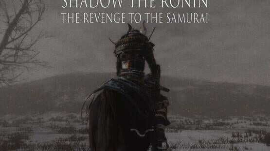 Shadow the Ronin: The Revenge to the Samurai official artwork 3