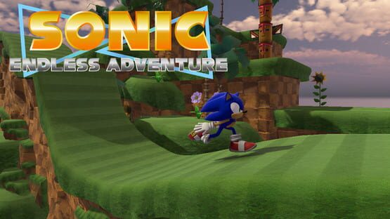 Sonic Endless Adventure gameplay screenshot