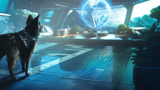 Barkour — immagine 6
