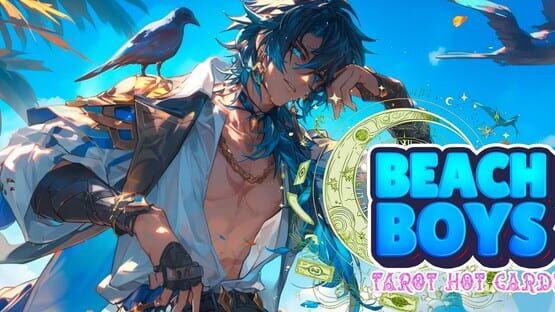 Beach Boys: Tarot Hot Cards gameplay screenshot