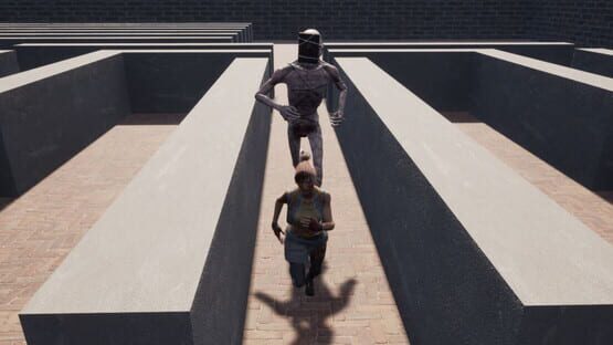Maze Escape gameplay screenshot