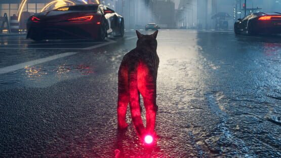 Cat Drift gameplay screenshot