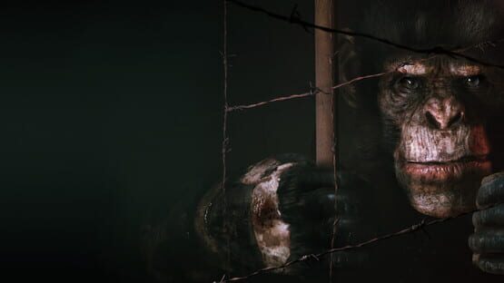 Animal Use Protocol - Artwork 1
