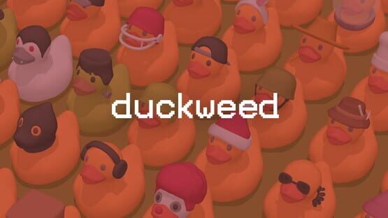 Duckweed gameplay screenshot