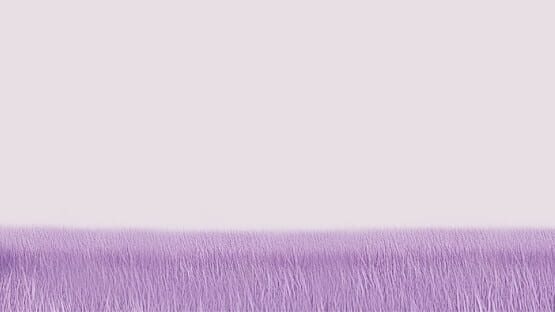 Catly official artwork 1
