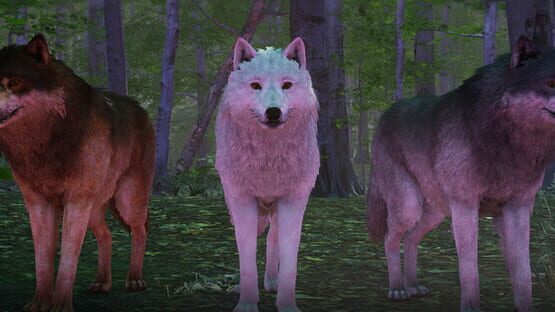 Wolf Simulator: Silent Paws official artwork 1